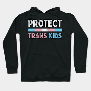 Protect Trans Kids / / Trans Flag Design Hoodie